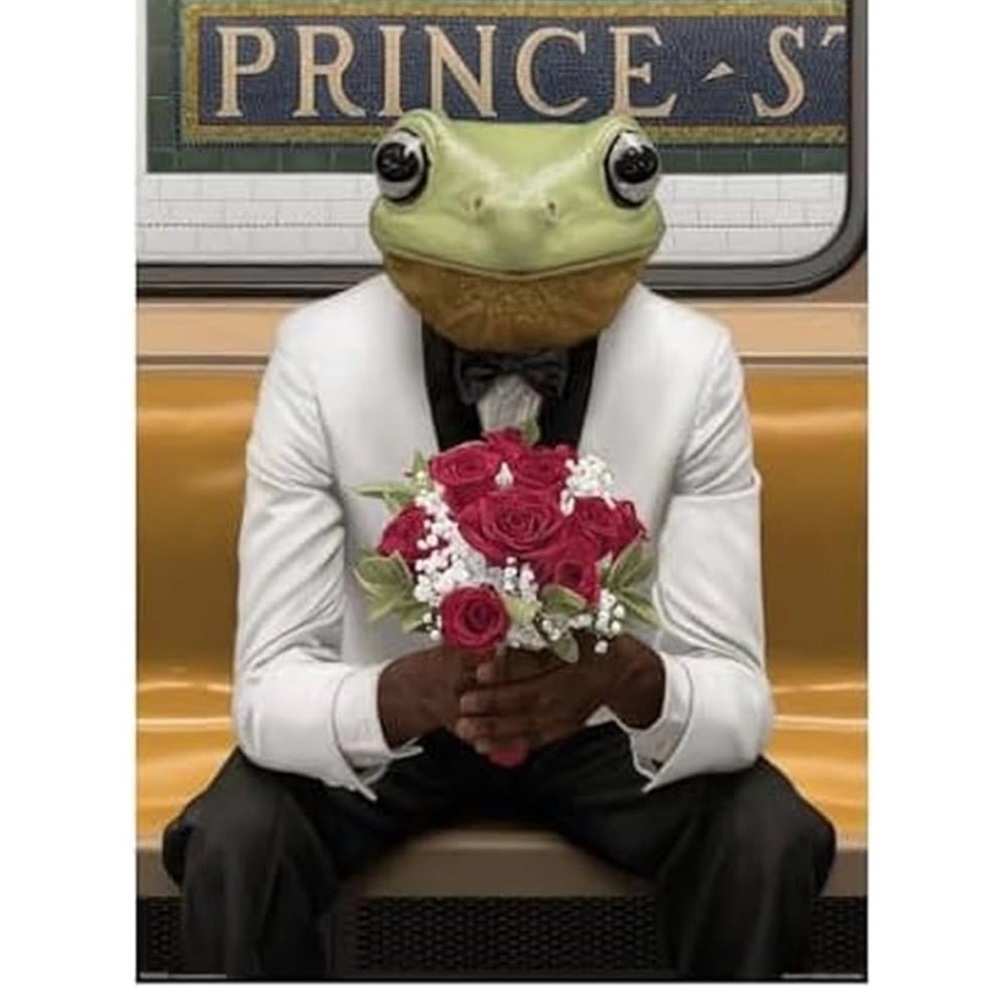 Genuine Fred Puzzle Complete Kiss Me 500 Piece Frog Prince